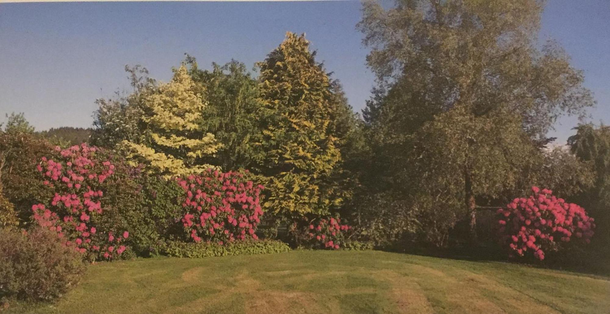 Gilchristland Organic Farm Retreat Bed & Breakfast Closeburn ภายนอก รูปภาพ